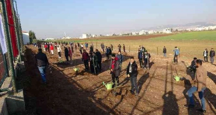 15 Temmuz şehitleri anısına 251 zeytin fidanı dikildi