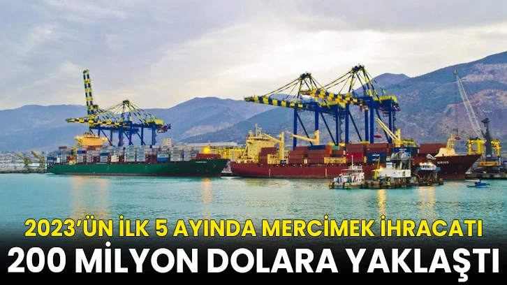 2023’ün ilk 5 ayında mercimek ihracatı 200 milyon dolara yaklaştı