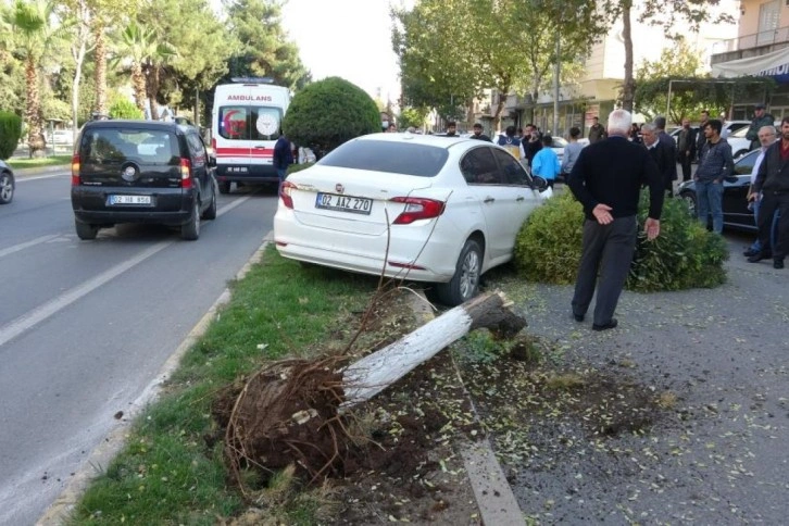 Adıyaman'da 5 araçlı zincirleme kaza: 2 yaralı