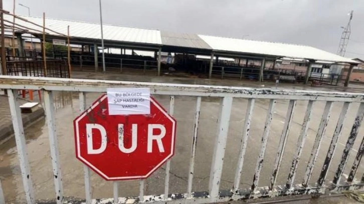 Adıyaman'da canlı hayvan pazarı karantinaya alındı