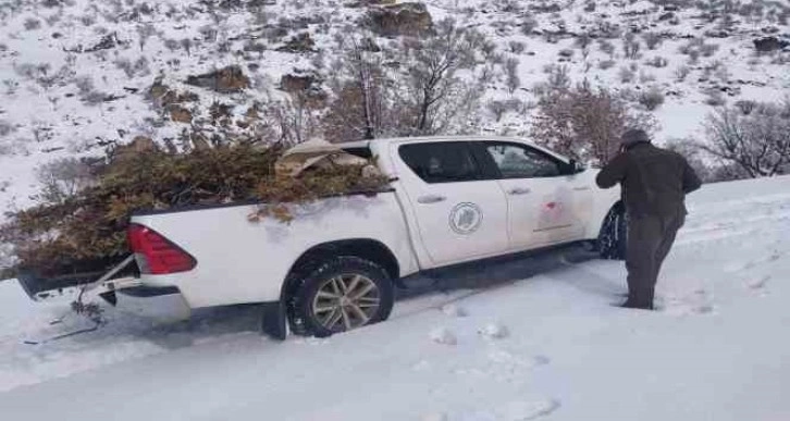 Adıyaman’da doğaya yem bırakıldı