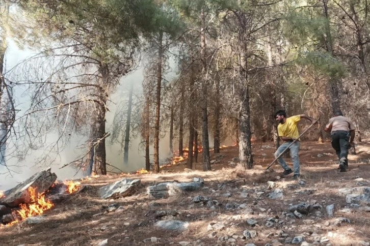 Adıyaman’da orman yangını başladı