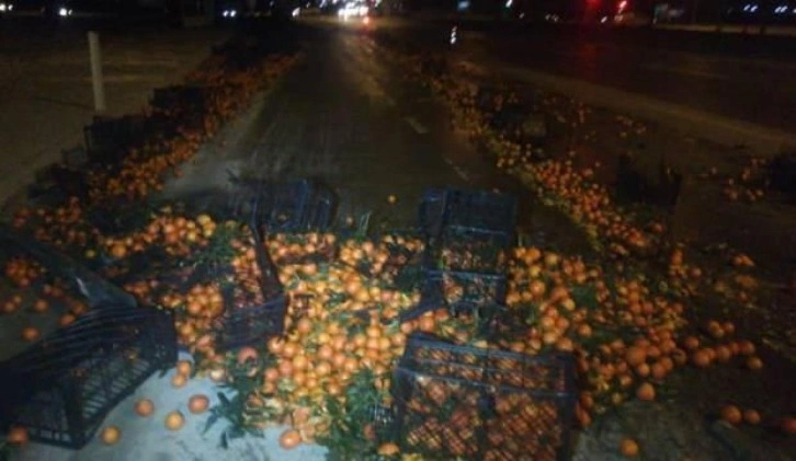 Afyonkarahisar’da tırın dorsesi savruldu, mandalinalar yola saçıldı