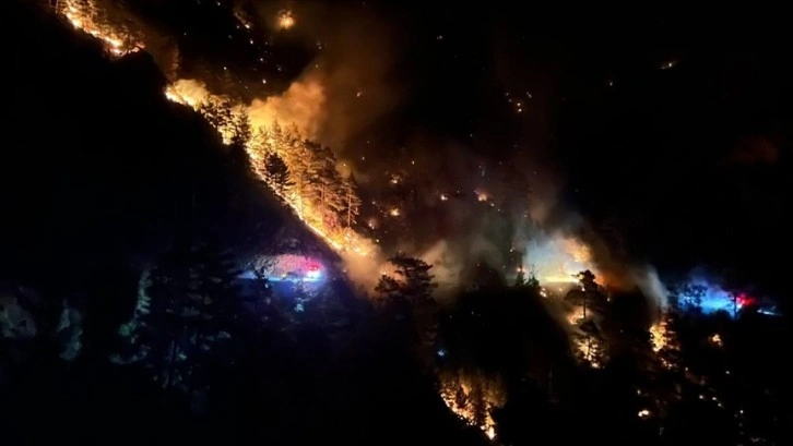 Alanya'da orman yangını başladı