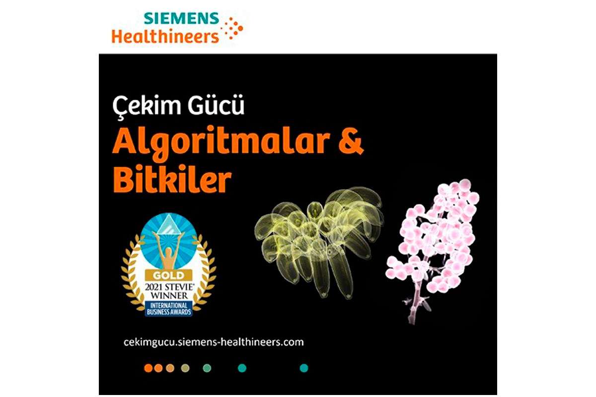 Algoritmalar ve Bitkiler Sergisi, Stevie Uluslararası İş Ödülleri'nde altın ödül kazandı