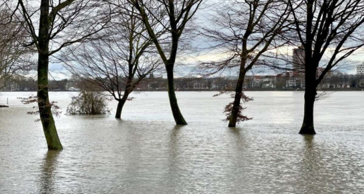 Almanya'da Ren Nehri taştı