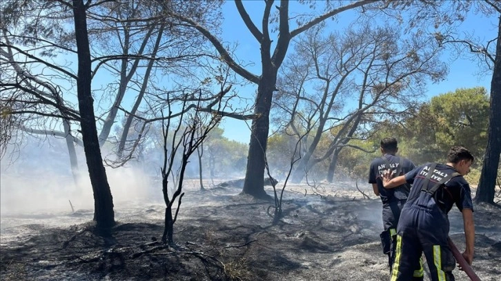 Antalya'da çıkan orman yangınına havadan ve karadan müdahale ediliyor