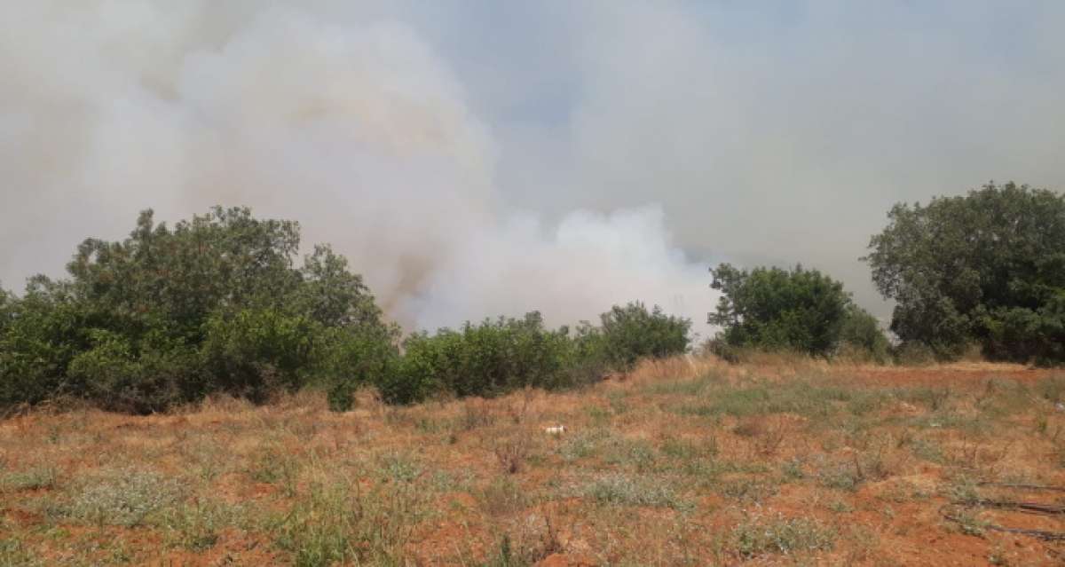 Antalya'da yangın