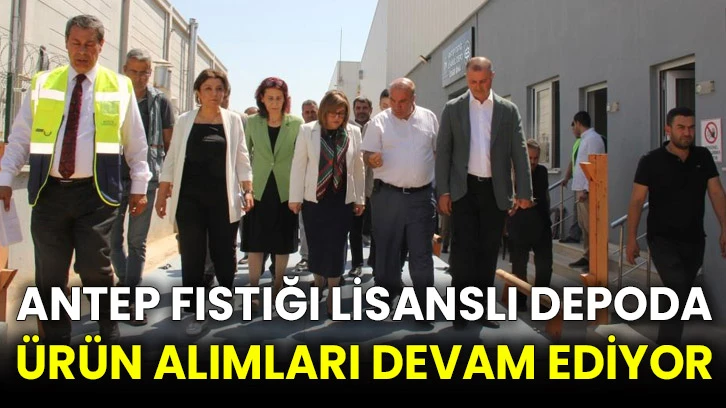 Antep fıstığı lisanslı depoda ürün alımları devam ediyor