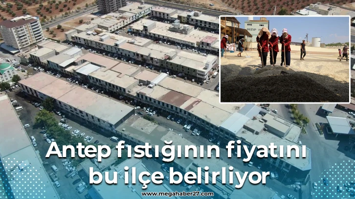 Antep fıstığının fiyatını bu ilçe belirliyor