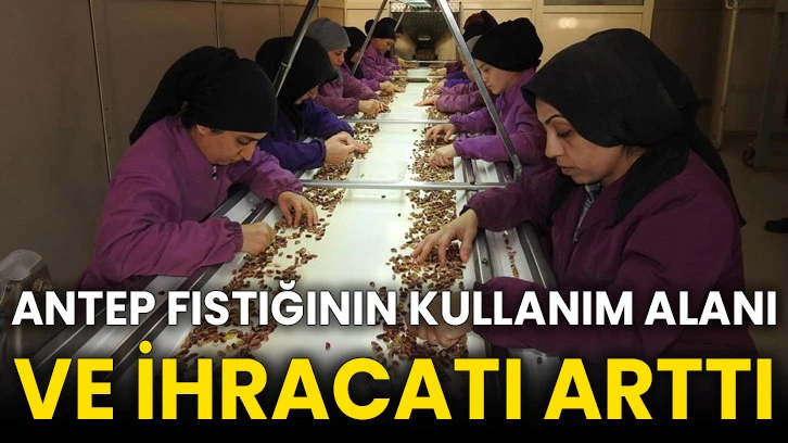 Antep fıstığının kullanım alanı ve ihracatı arttı