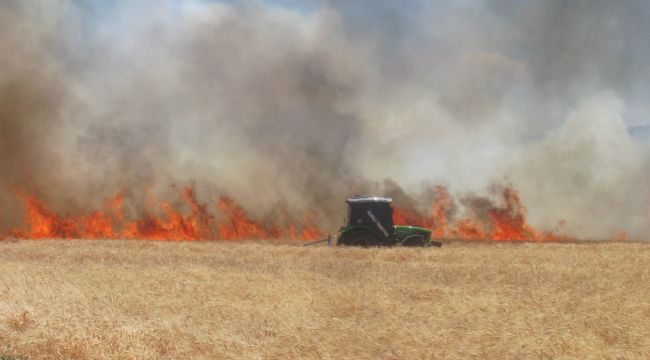 Araban'da 220 dönüm buğday tarlası yandı