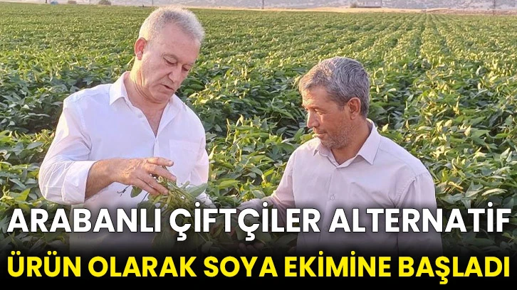 Arabanlı çiftçiler alternatif ürün olarak soya ekimine başladı