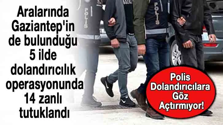 Aralarında Gaziantep'in de bulunduğu 5 ilde dolandırıcılık operasyonunda 14 zanlı tutuklandı