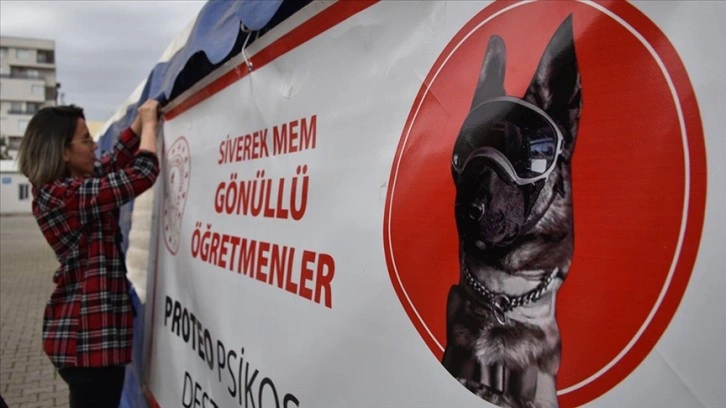 Arama kurtarma köpeği 