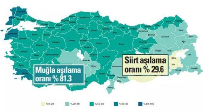 Aşı tablosundaki sarı rengin sebebi: Kısırlık korkusu!