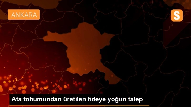 Ata tohumundan üretilen fideye yoğun talep