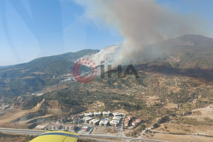 Aydın’da makilik ve zirai alanda yangın