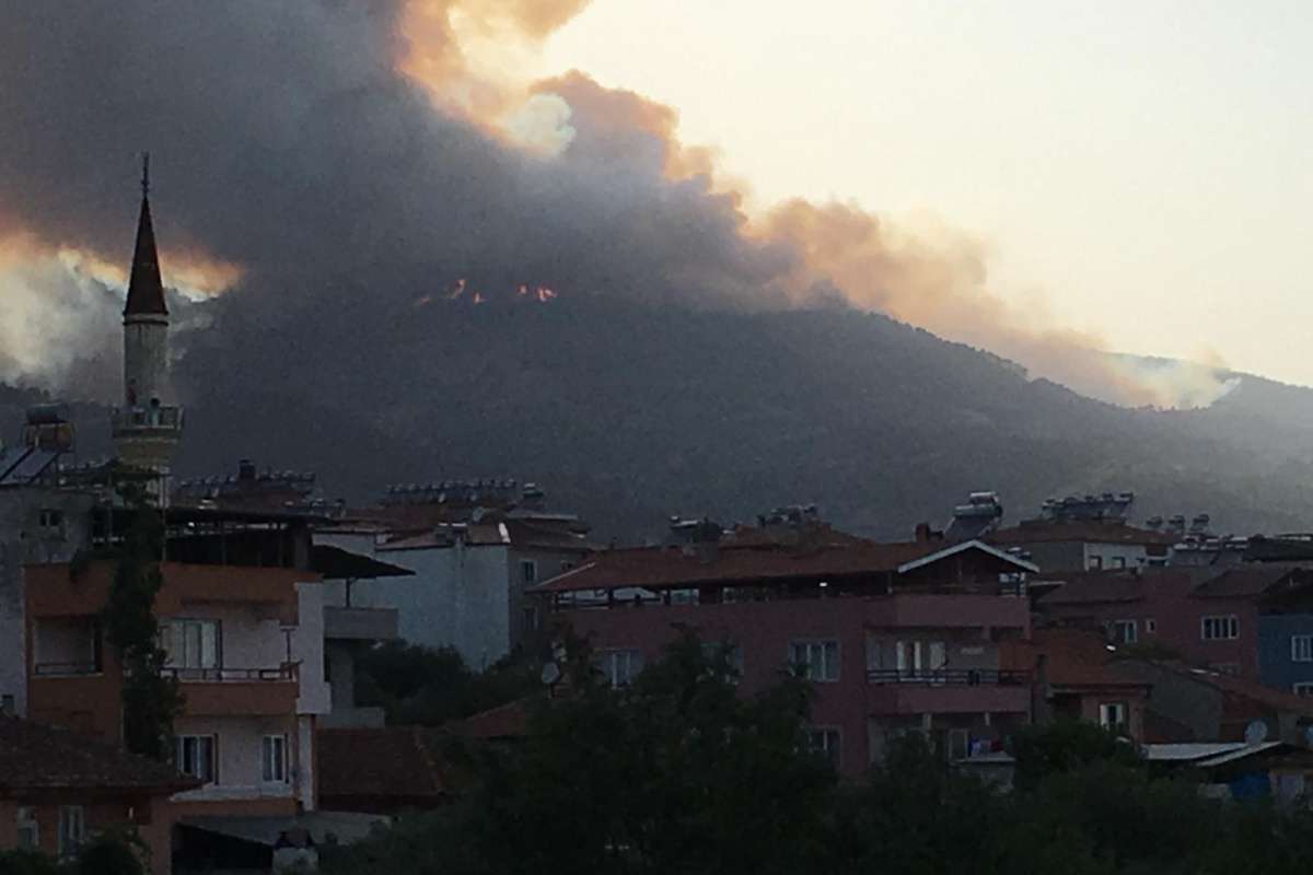 Aydın'da orman yangını