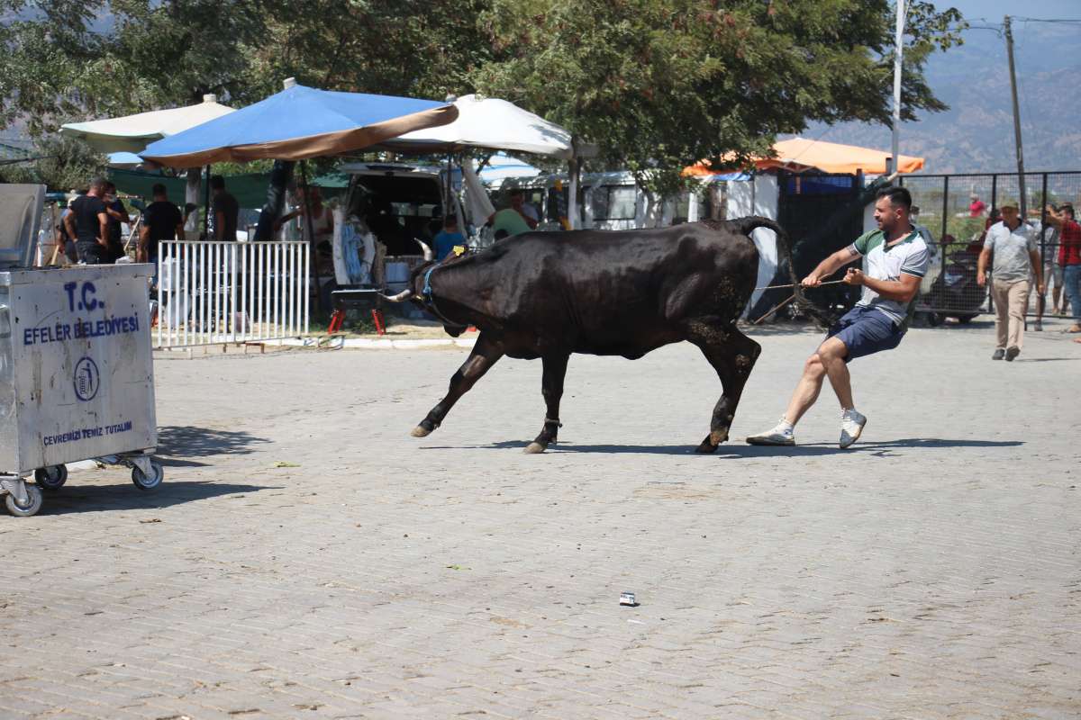 Aydın'daki kurban pazarı eski günleri arattı