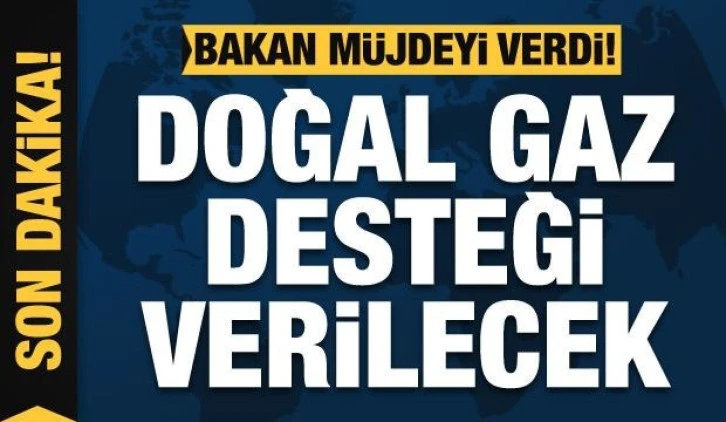 Bakan Derya Yanık'tan doğal gaz desteği açıklaması