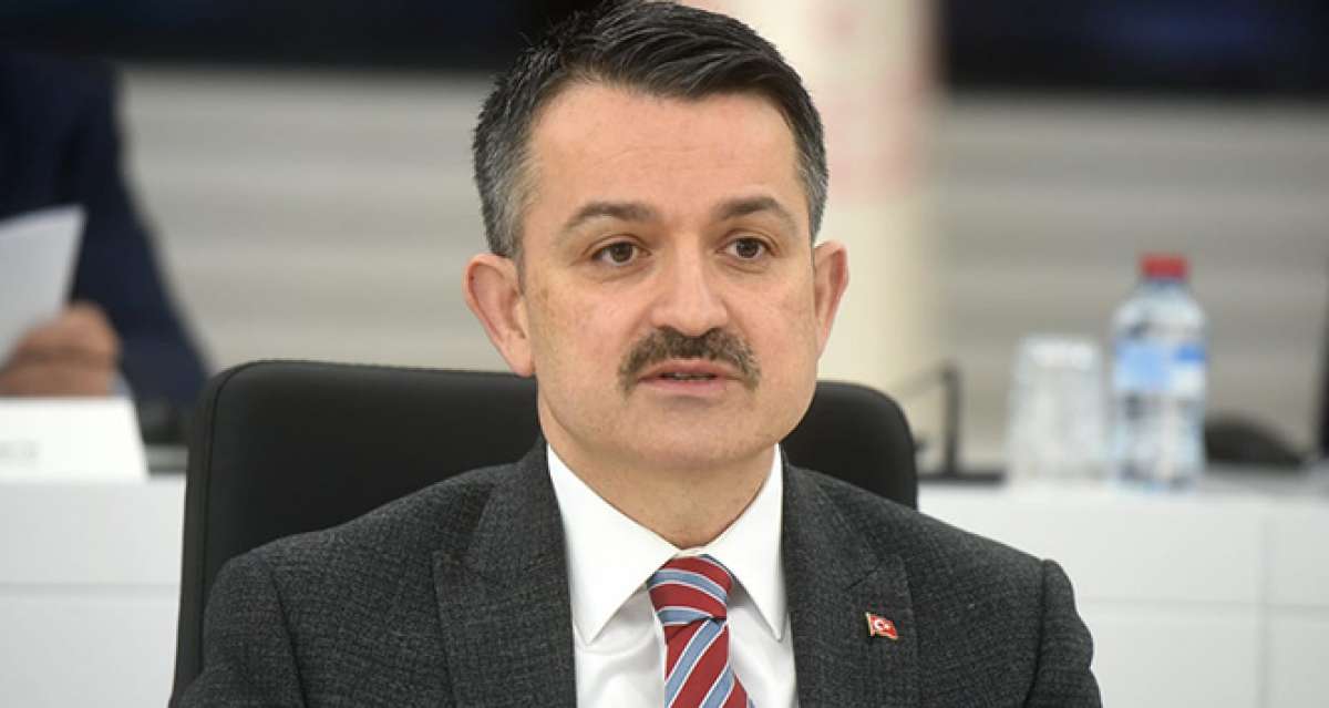 Bakan Pakdemirli: '377 milyon liralık destek ödemelerine bugün başlıyoruz'