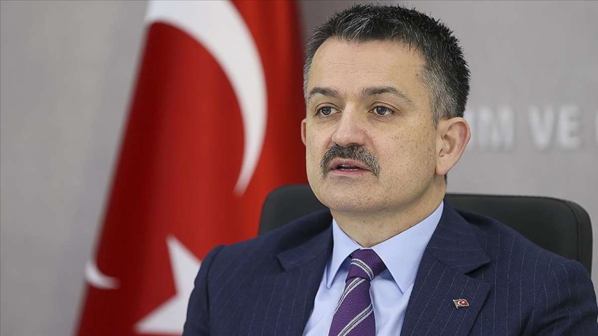 Bakan Pakdemirli: Dünyada biyolojik çeşitlilik azalırken Türkiye'de artmaktadır