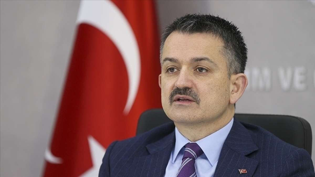 Bakan Pakdemirli: Orman Genel Müdürlüğümüze 2 bin geçici işçi istihdam ediyoruz