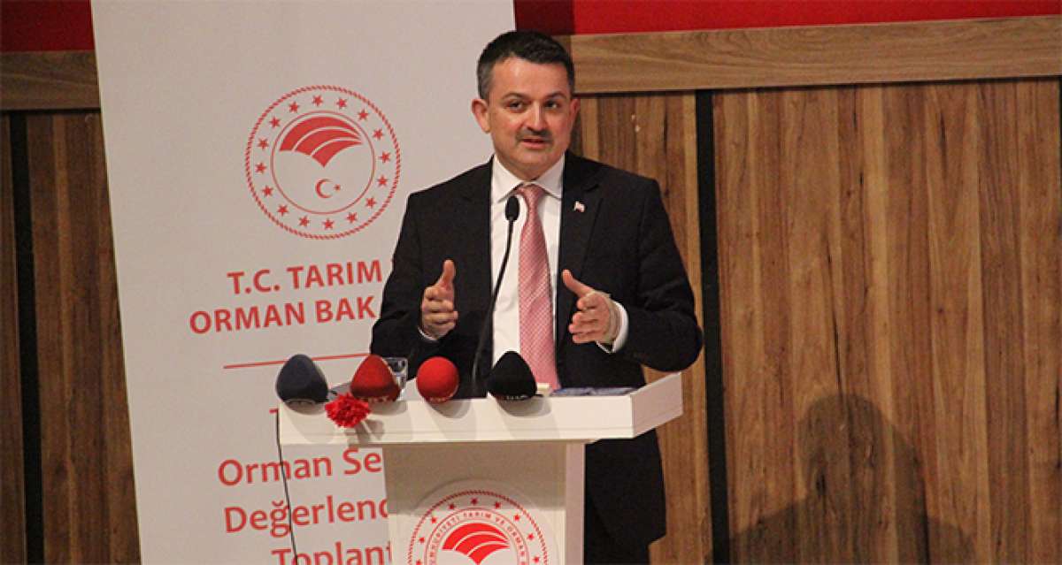 Bakan Pakdemirli: 'Patates ve kuru soğan alımına başlıyoruz'