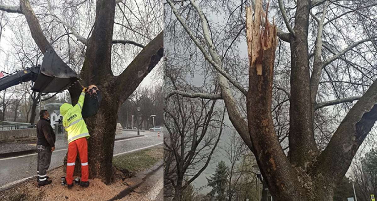 Bakan Pakdemirli'den TBMM bahçesine düşen yıldırıma ilişkin açıklama