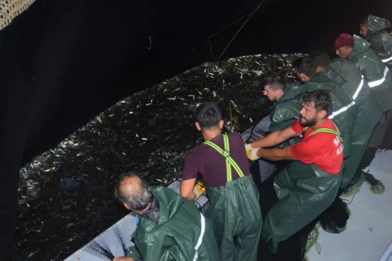 Balıkçılar ‘Vira Bismillah’ dedi, denizden istavrit fışkırdı