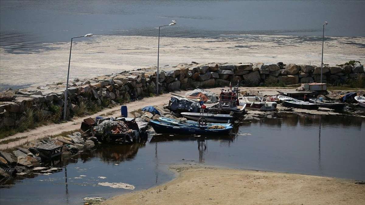 Balıkesir kıyılarında müsilaj görülmeye devam ediyor