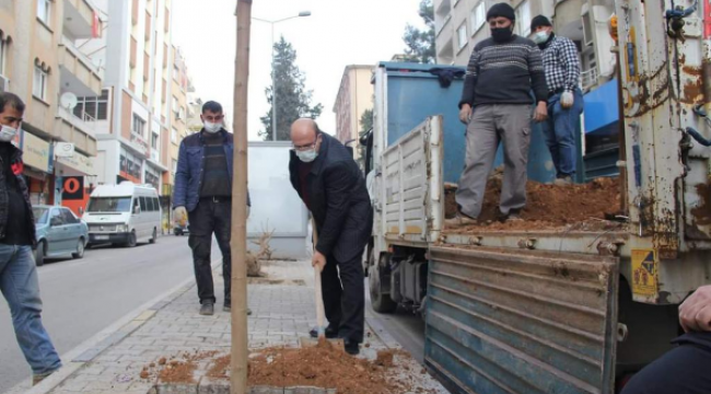 Başkan Sarı ağaçlandırma çalışmasına katıldı