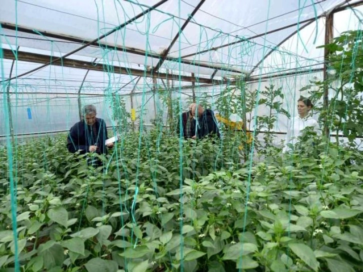 BATEM ve TARSİM ekipleri Antalya'da sel bölgesinde incelemelerde bulundu