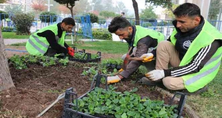 Batman’da cadde ve refüjler çiçeklerle süslendi