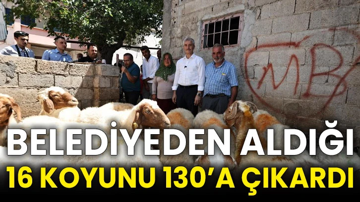 Belediyeden aldığı 16 koyunu 130’a çıkardı