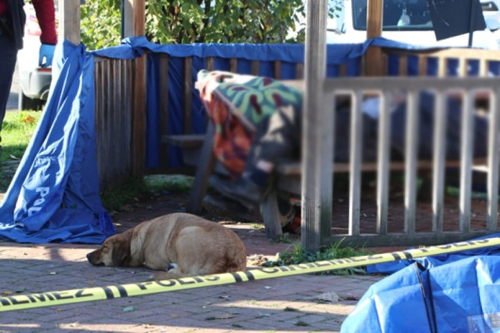 Beslediği köpek ölü bulunan evsiz adamın başından bir an bile ayrılmadı