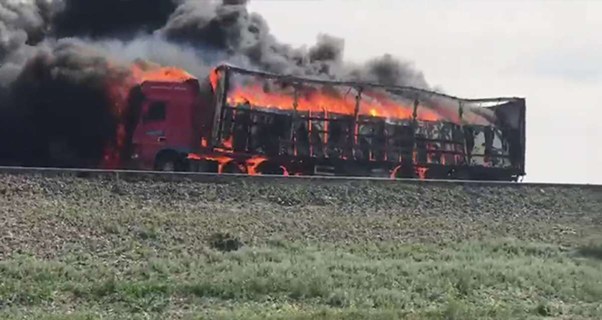 Beyaz eşya yüklü tır alev alev yandı