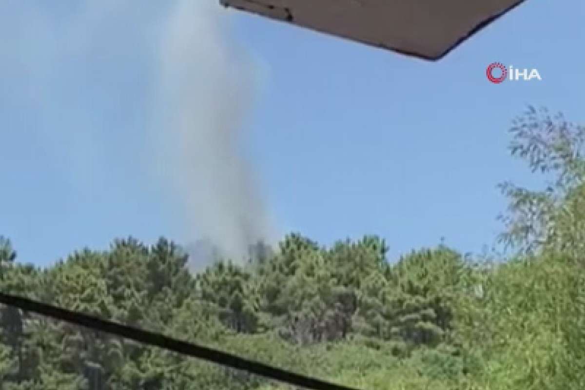 Beykoz'da ormanlık alanda yangın çıktı