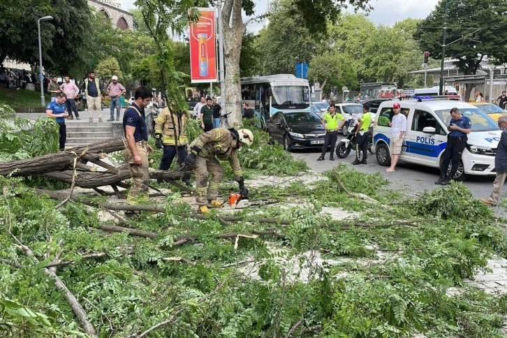 Beyoğlu’nda gövdesinden kırılan ağaç yola devrildi: 2’si turist 3 kişi yaralandı