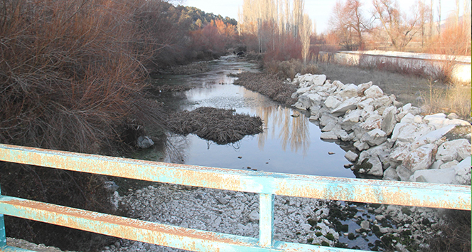 Beyşehir Gölü'nün su kaynakları da kurudu