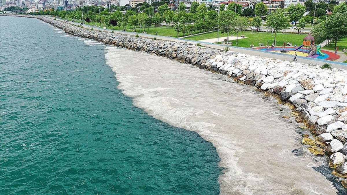 Bilim insanları müsilaj oluşumunun Marmara Denizi'ne etkilerini araştırıyor