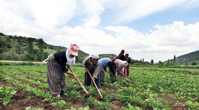 Binlerce çiftçinin tarım kredi borcuna yapılandırma imkanı