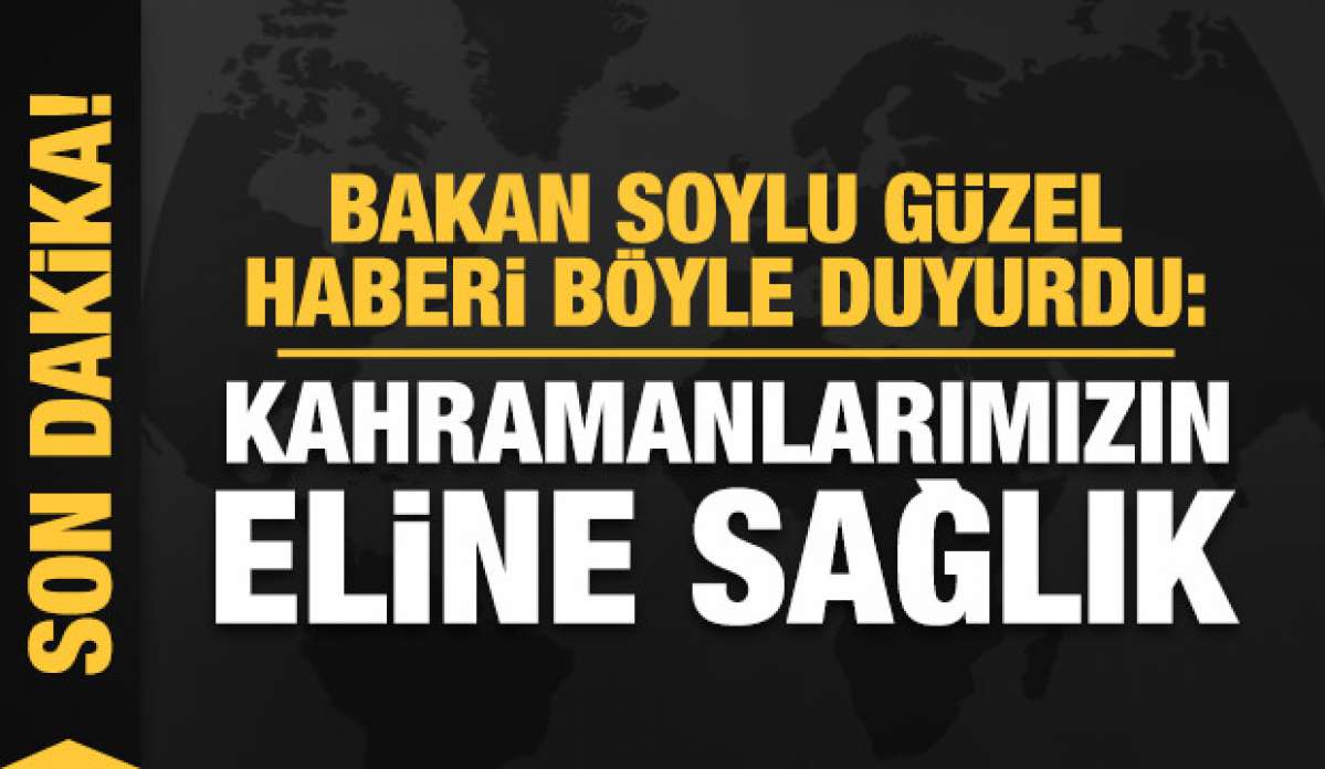 Biri 'turuncu' kategorideki PKK'lı 2 terörist öldürüldü