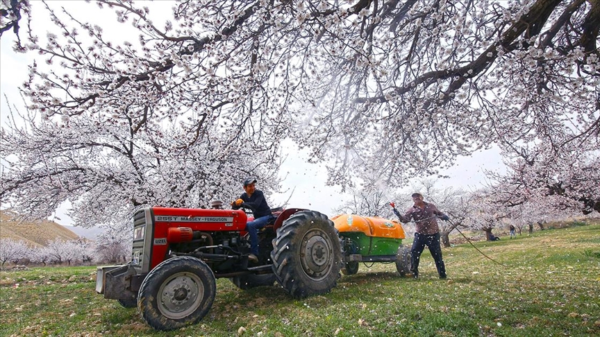 Bitki karantinası tazminat desteği uygulama esasları belli oldu