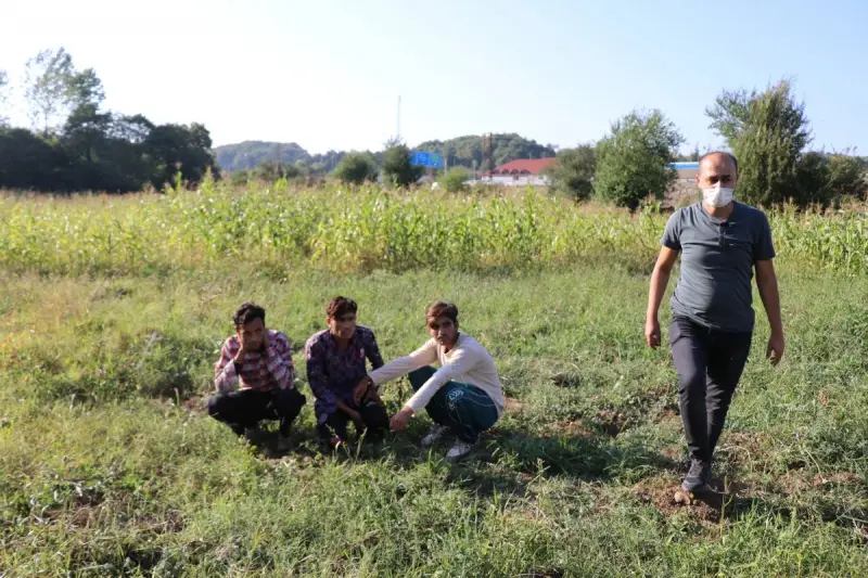 Bolu’da ormana kaçan 16 göçmen böyle yakalandı