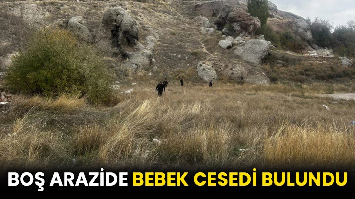 Boş arazide bebek cesedi bulundu