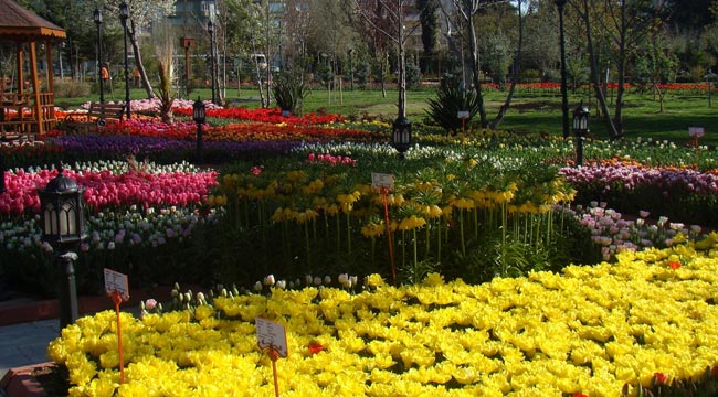 Botanik çalıştayı için başvurular 5 Mart'a kadar devam edecek