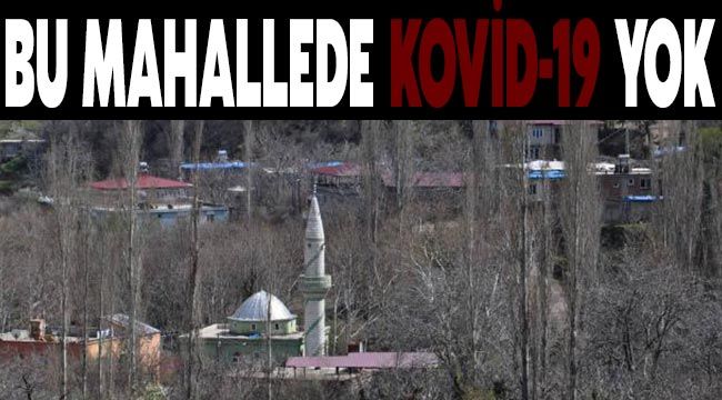 Bu mahallede kovid-19 yok