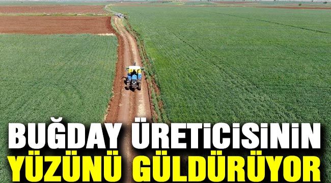 Buğday üreticisinin yüzünü güldürüyor 